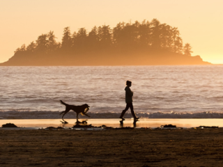 Where to Go in 2020: Vancouver Island, AFAR
